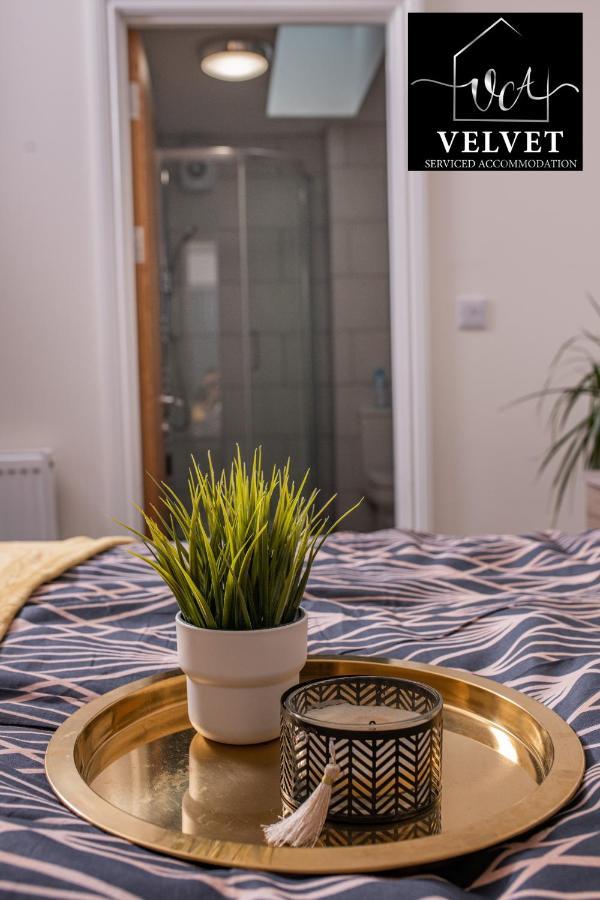 1 Bed House , Free Wifi,Free Parking,Leasure,Business Appartement Swansea Buitenkant foto
