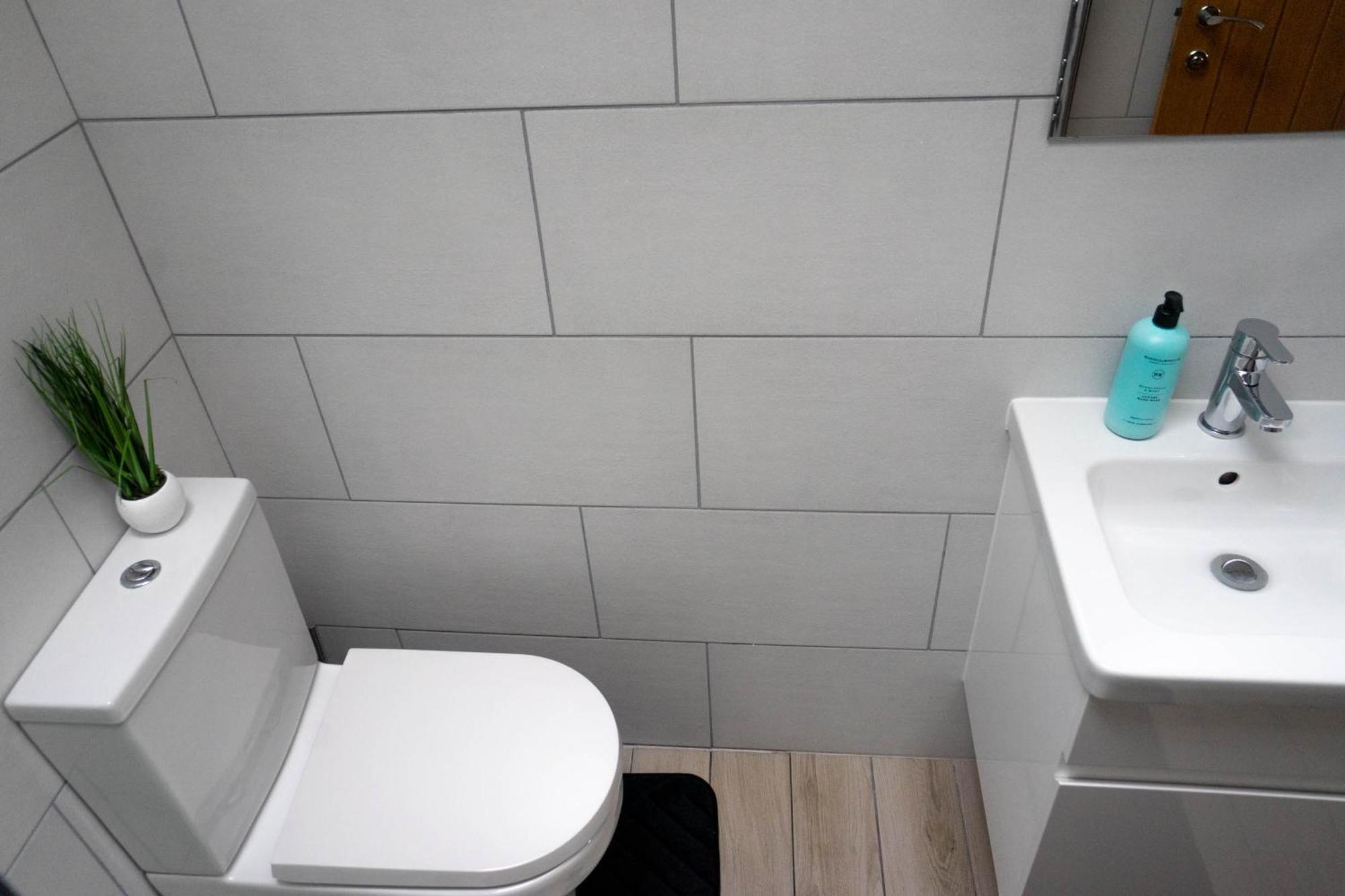 1 Bed House , Free Wifi,Free Parking,Leasure,Business Appartement Swansea Buitenkant foto
